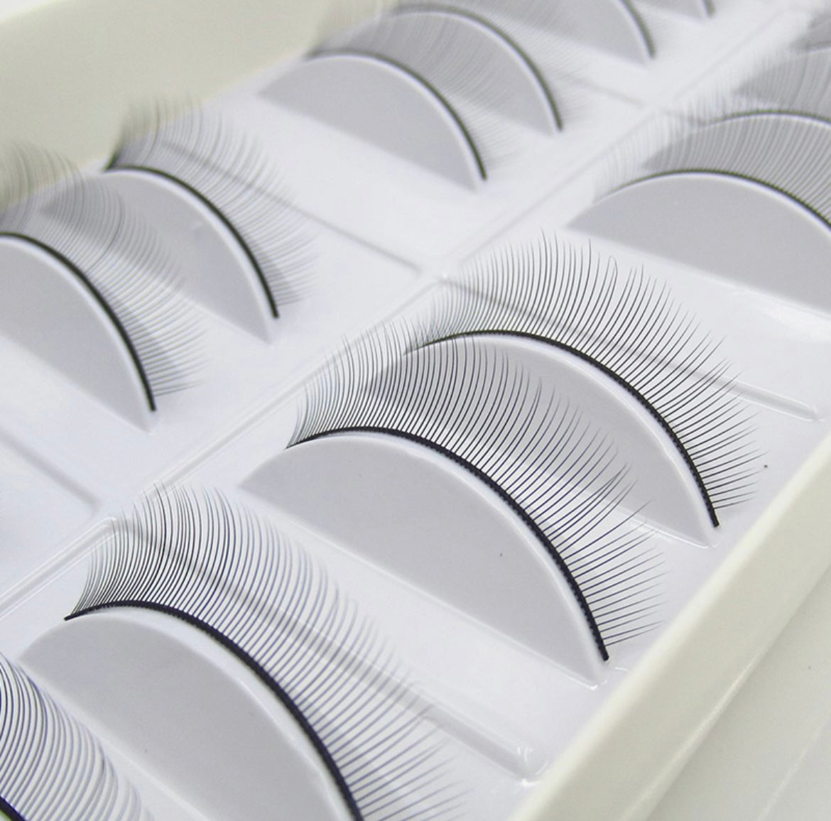 BEGINNER TRAINING LASHES